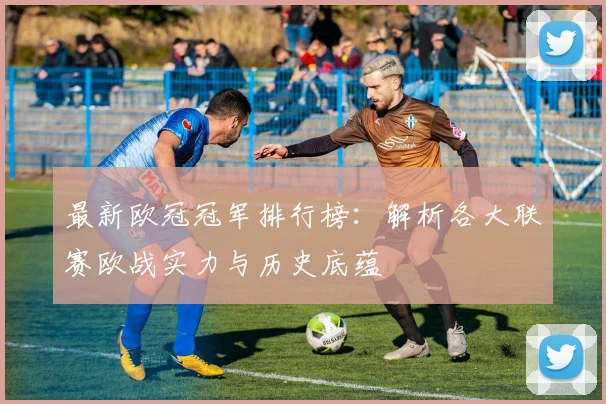 最新欧冠冠军排行榜：解析各大联赛欧战实力与历史底蕴