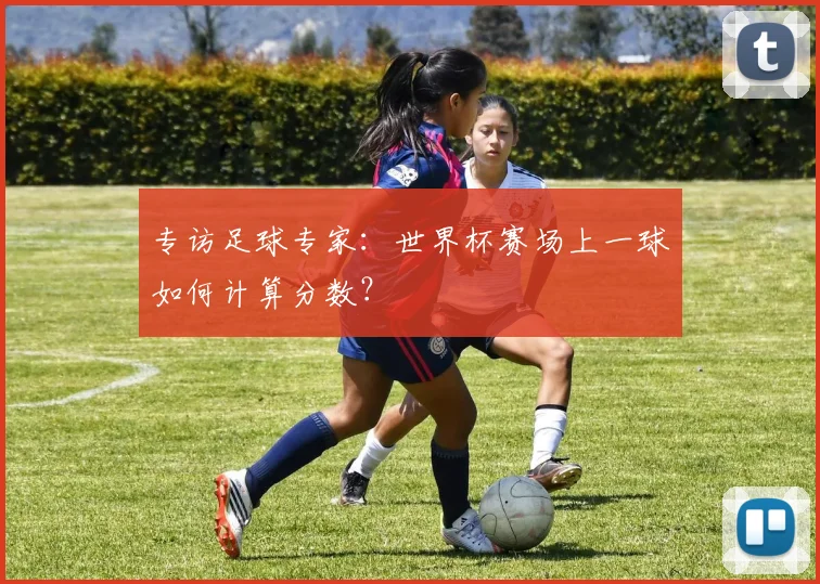 专访足球专家：世界杯赛场上一球如何计算分数？
