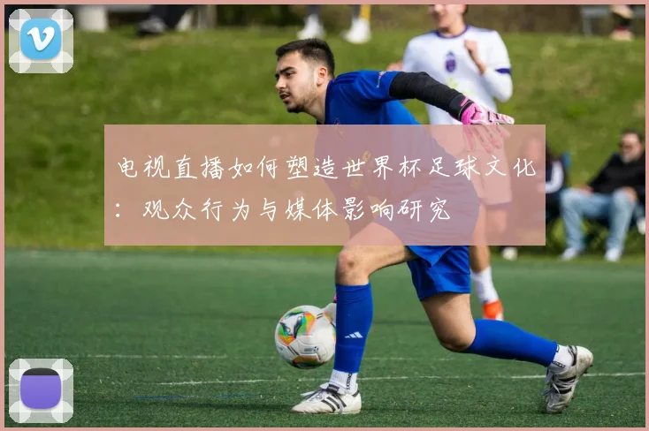 电视直播如何塑造世界杯足球文化:观众行为与媒体影响研究