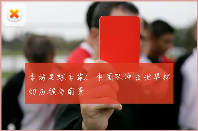 专访足球专家：中国队冲击世界杯的历程与前景