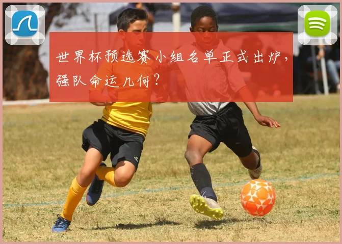 世界杯预选赛小组名单正式出炉,强队命运几何?