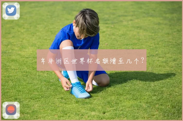 年非洲区世界杯名额增至几个？