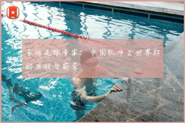 专访足球专家:中国队冲击世界杯的历程与前景